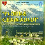 florile-ceahlaului-festival-2011