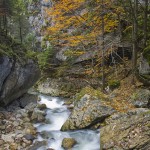 neamt-county-nature-monuments