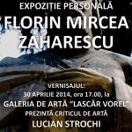 01-expo-florin-zaharescu-mai-2014